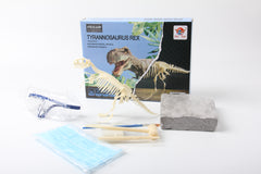 Kit de excavación de dinosaurios