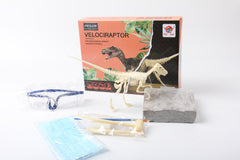 Kit de excavación de dinosaurios